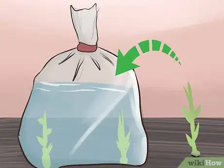 Image titled Transport Fish Step 12