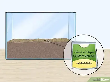 Image titled Grow Blood Worms Step 3