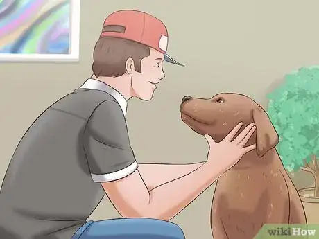 Image titled Tame a Dog Step 1