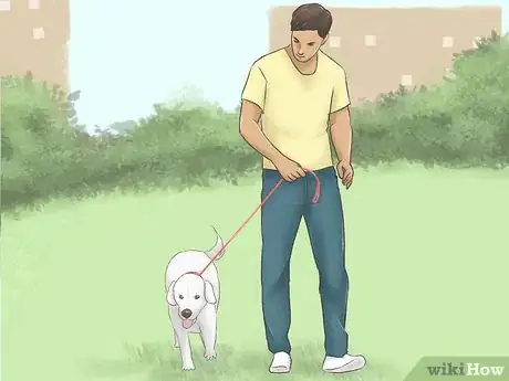 Image titled Meet Girls Outside of School Step 7