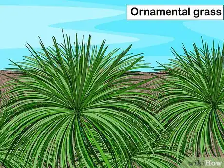 Image titled Design a Waterfront Garden Step 1