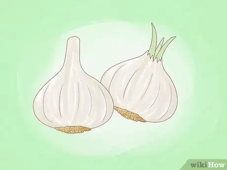 Image titled Regrow Vegetables Step 11