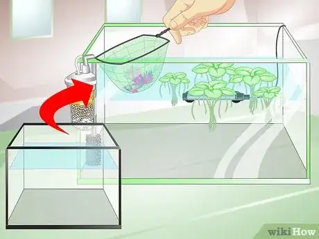 Image titled Provide a Protective Breeding Environment for Betta Fish Step 9