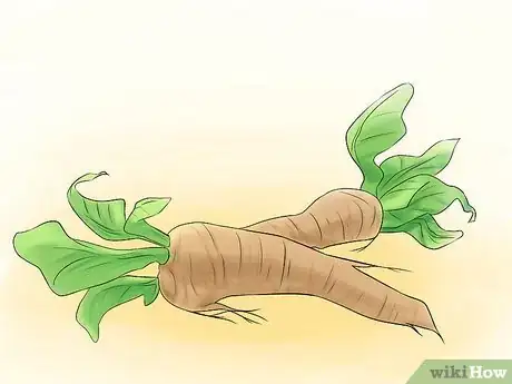 Image titled Grow Perennial Vegetables Step 5