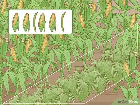 Image titled Reduce the Use of Pesticides in Farming Step 4