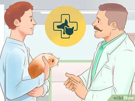 Image titled Keep a Guinea Pig on a Budget Step 18