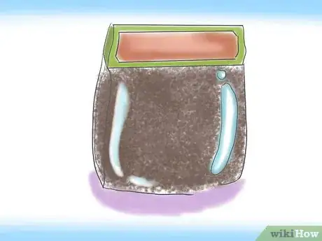 Image titled Grow Butterfly Weed Step 1