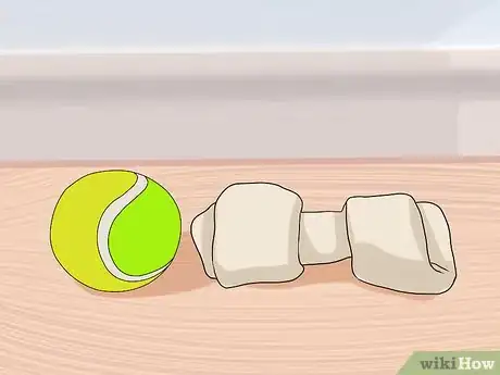 Image titled Have a Fun Day with Your Dog Step 11