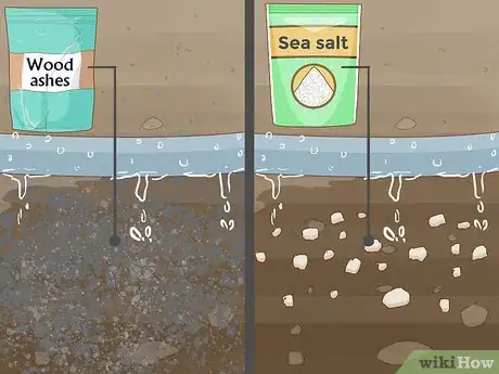 Image titled Create a Bee Friendly Garden Step 8