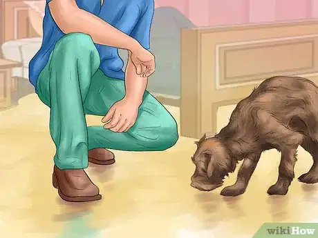 Image titled Build a Relationship With a Dog Step 2