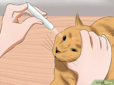 Image titled Treat Feline Cataracts Step 9