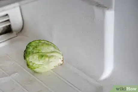 Image titled Select and Store Brussels Sprouts Step 7