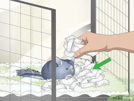 Image titled Help Your Chinchilla Adjust to its New Home Step 4