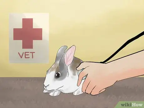 Image titled Prevent Poisoning in Pet Rabbits Step 10