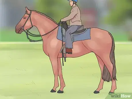 Image titled Find and Train a Barrel Horse Step 4