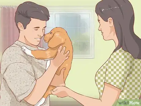 Image titled Foster Shelter Dogs Step 8