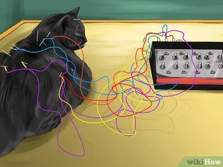 Image titled Treat a Cat with Acupuncture Step 3