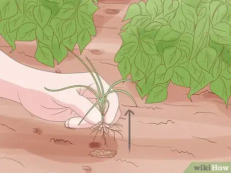 Image titled Reduce the Use of Pesticides in Farming Step 7