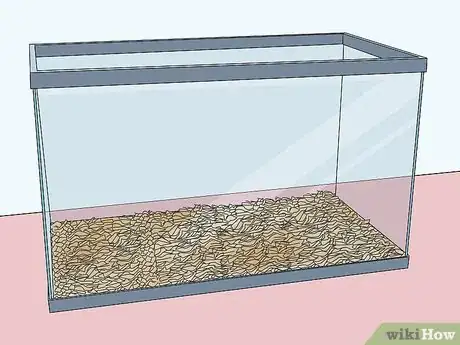Image titled Buy a Gerbil Step 12