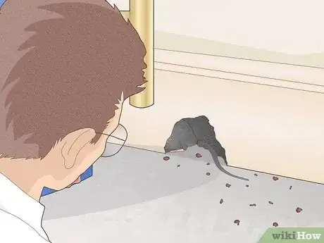 Image titled Become a Pest Control Specialist Step 11