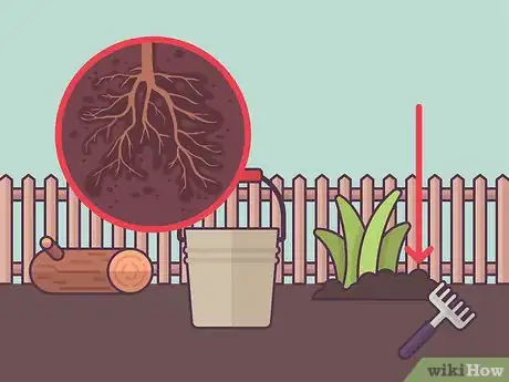 Image titled Plant Daylilies Step 8