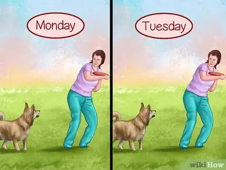 Image titled Build a Relationship With a Dog Step 8