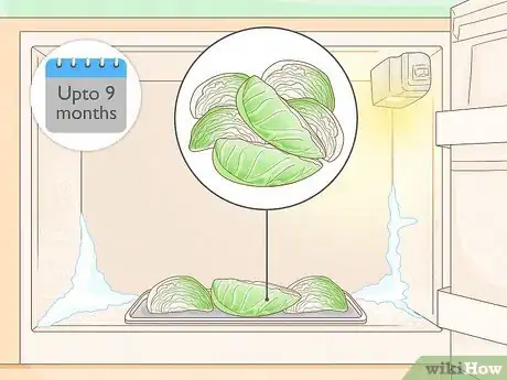 Image titled Harvest Cabbage Step 11