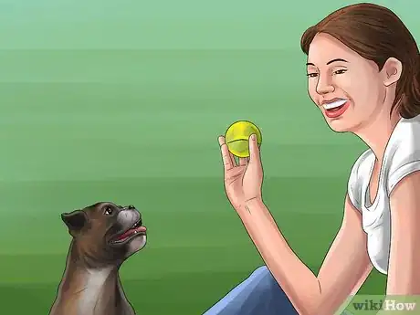 Image titled Care for a Rescued Dog Step 10