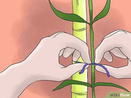 Image titled Help Carnations Make a Comeback Step 9