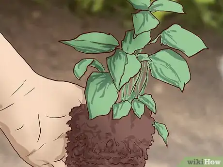 Image titled Feed a Horse a Mint Step 8