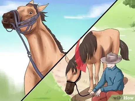Image titled Get a Head Shy Horse To Trust You Step 14