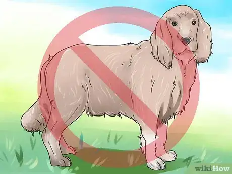 Image titled Get Dogs to Mate Step 2