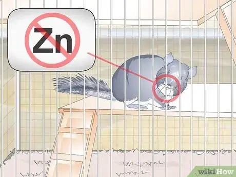 Image titled Avoid Poisoning a Chinchilla Step 1
