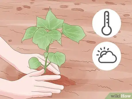 Image titled Reduce the Use of Pesticides in Farming Step 1