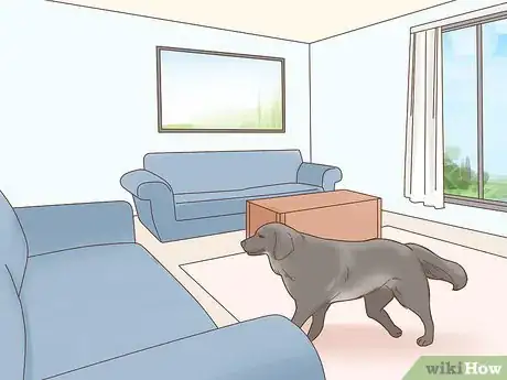 Image titled Train a Blind Dog to Handle the Stairs Step 15