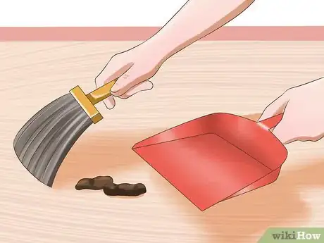 Image titled Protect Your Pets from Summertime Pests Step 28