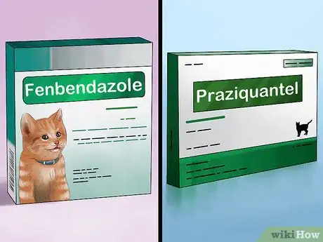 Image titled Handle Lung Fluke Infections in Cats Step 4