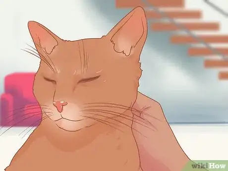 Image titled Celebrate National Cat Day Step 3