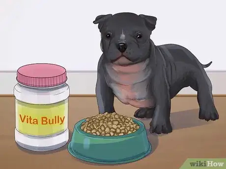 Image titled Feed an American Bully Puppy Step 5