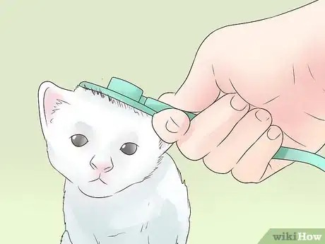Image titled Treat Epilepsy in Cats Step 6