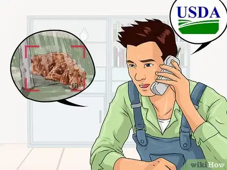 Image titled Help Shut Down Puppy Mills Step 7