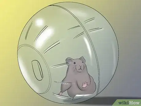 Image titled Have a Good Time With Your Hamster Step 2