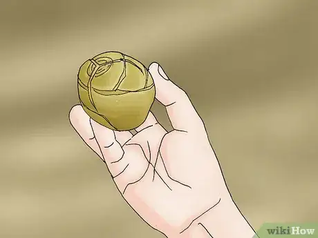 Image titled Propagate Daffodils Step 7