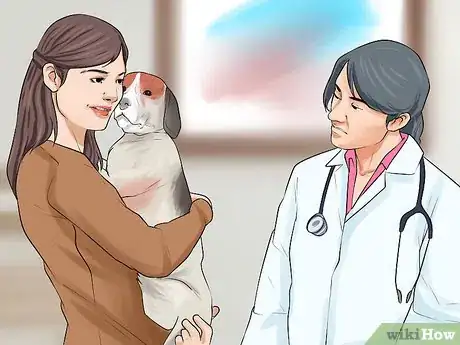 Image titled Care for a Recently Rehomed Dog Step 5