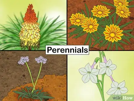 Image titled Design a Waterfront Garden Step 3