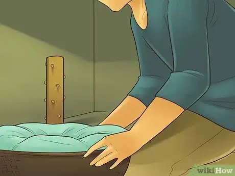 Image titled Catify Your Room Step 2