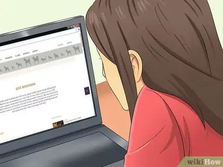 Image titled Select a Labrador Retriever Step 10
