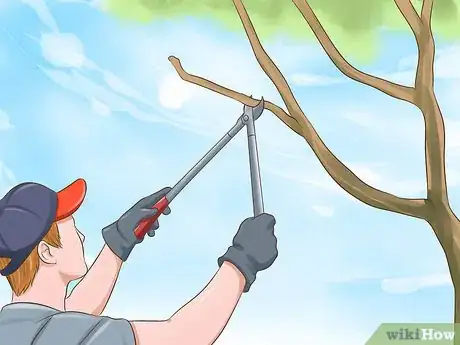 Image titled Protect Your Pets from Summertime Pests Step 11