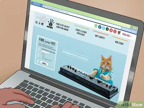 Image titled Adopt a Dog from a Humane Society or Animal Shelter Step 6