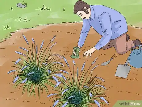 Image titled Plant Landscape Grasses Step 6